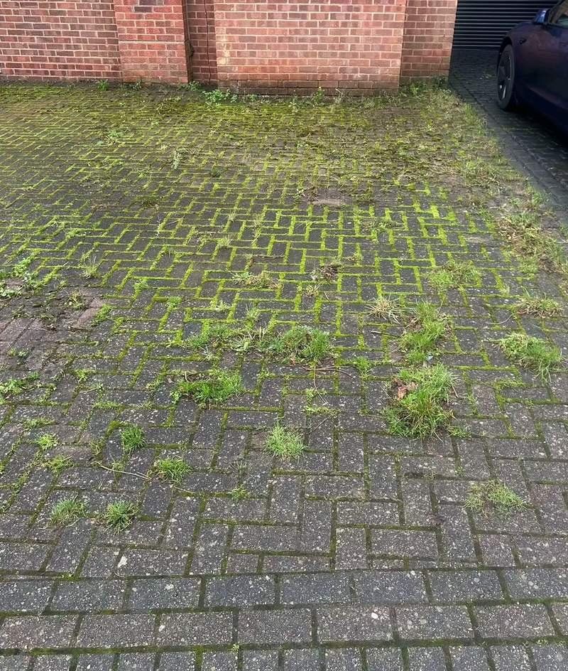 Block paving driveway in Birmingham before cleaning — moss and weeds