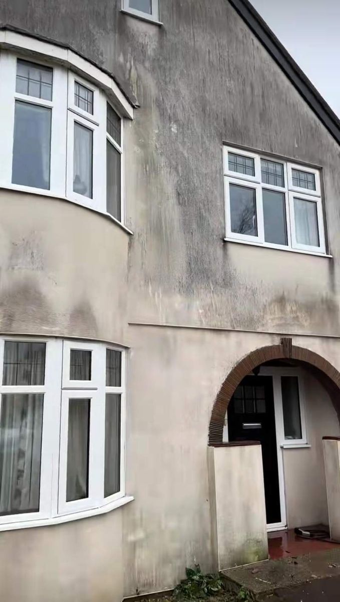 House render before softwash — black algae streaks